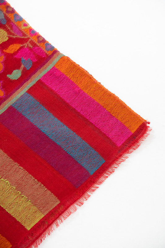 Ikkat + Kaani Border Stole